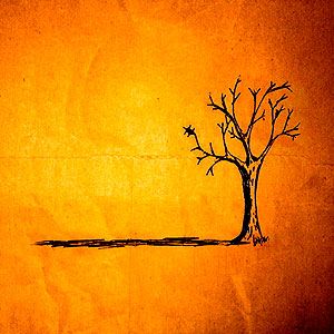 Portada del álbum Fall de Jon Foreman