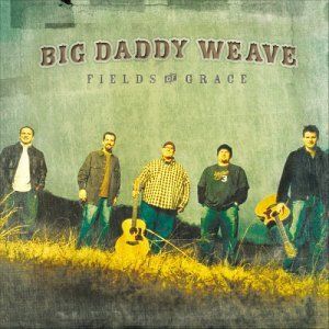 Portada del álbum Fields Of Grace de Big Daddy Weave