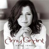 Portada de Simple Things de Amy Grant