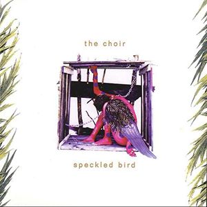 Portada del álbum Speckled Bird de The Choir